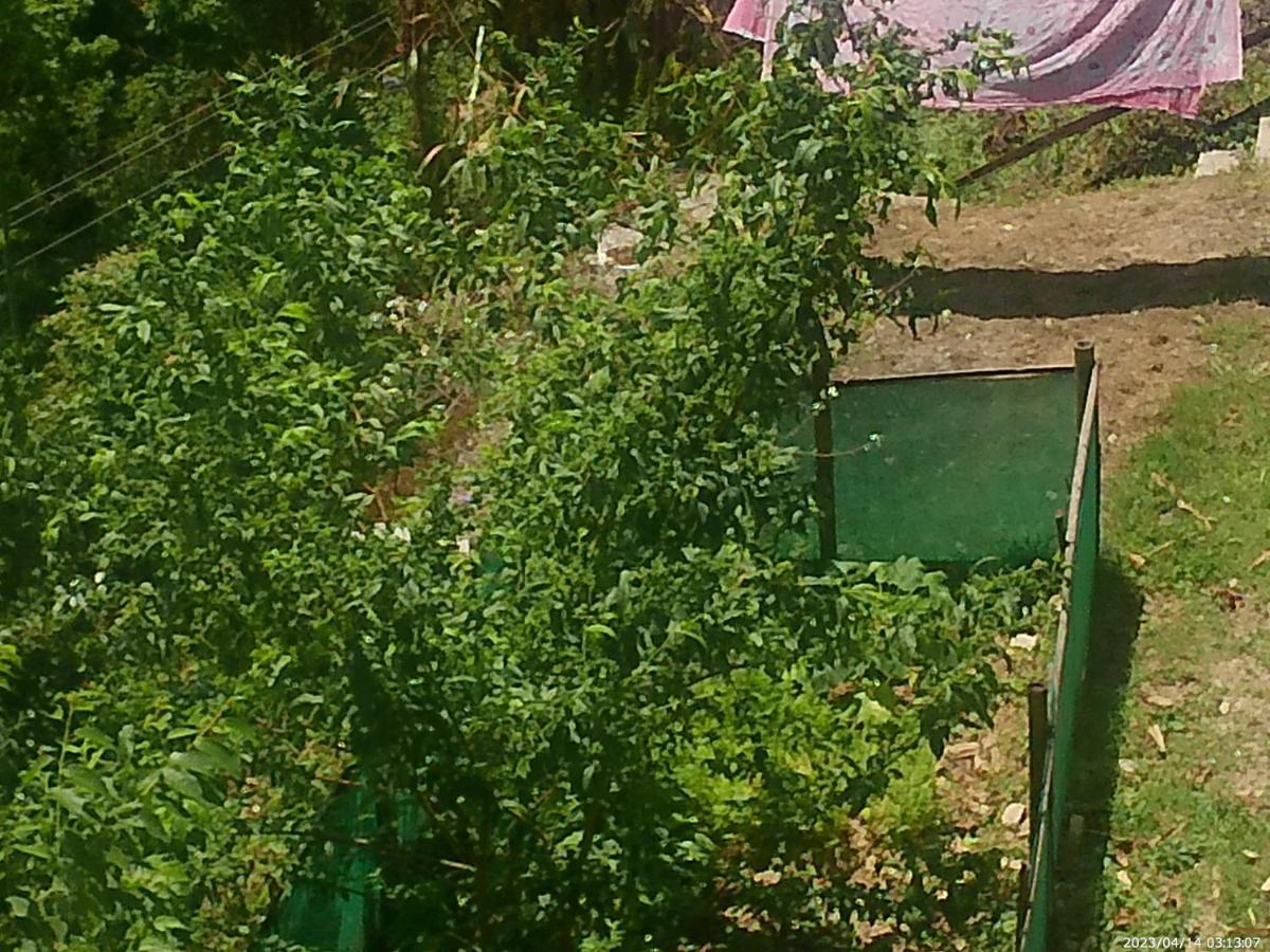 Mountain View Homestay Kalimpong Exterior foto